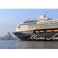 3886 Kreuzfahrtschiff MEIN SCHIFF laeuft in Hamburg ein | Schiffsbilder Hamburger Hafen - Schiffsverkehr Elbe